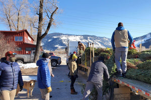 Celebrate the Holidays 2021