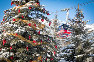 Stockton & Shirk Featured in the JH Scout Guide