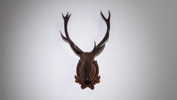 Antique Czech Trophy Mount
