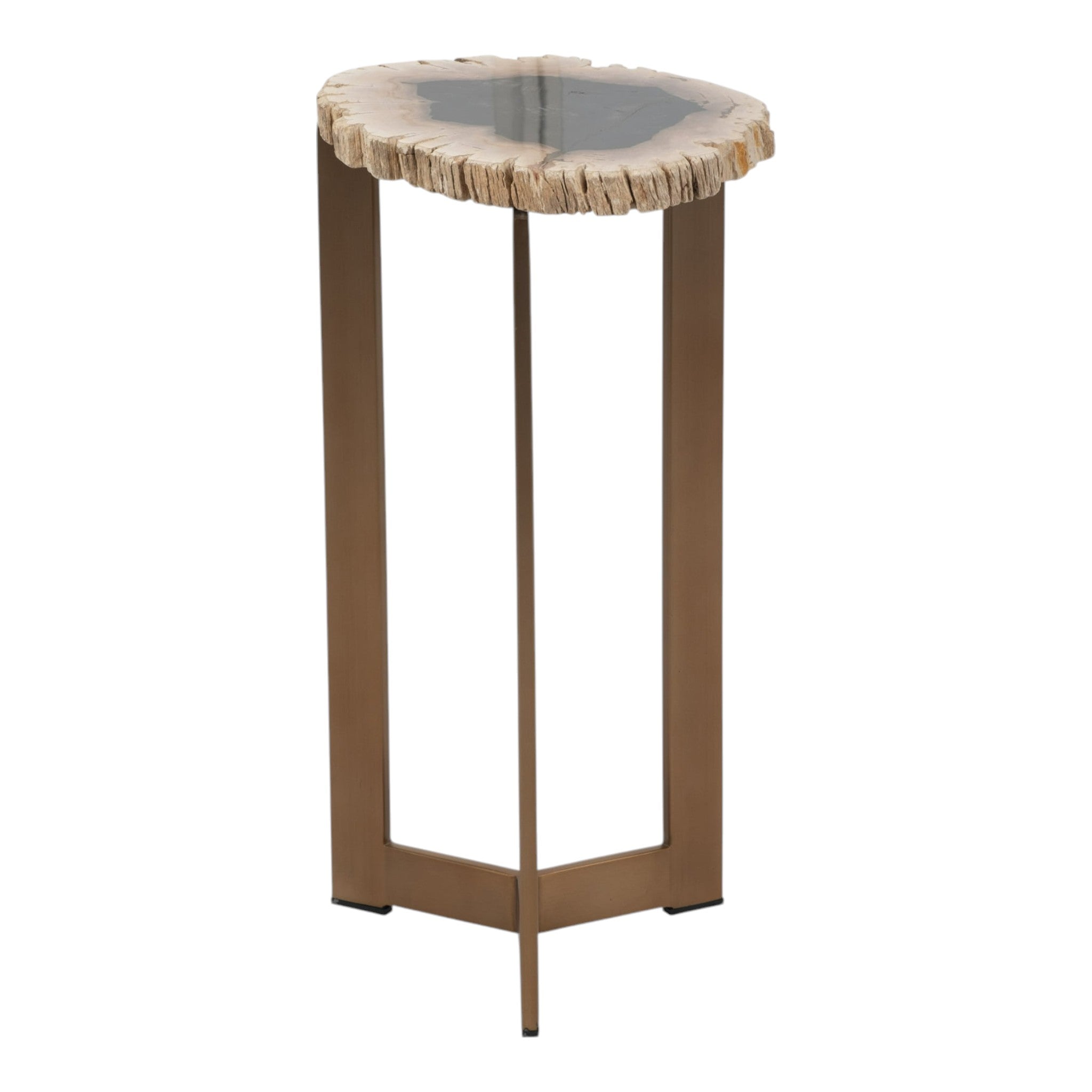 Petrified Wood Accent Table 21" H