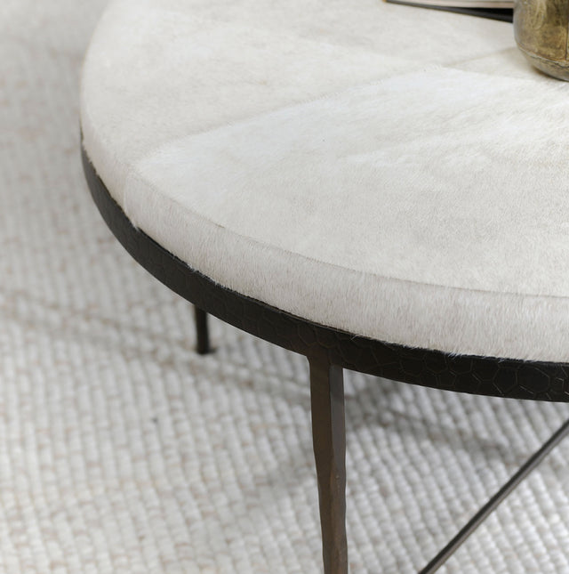 Bose Hair on Hide Table