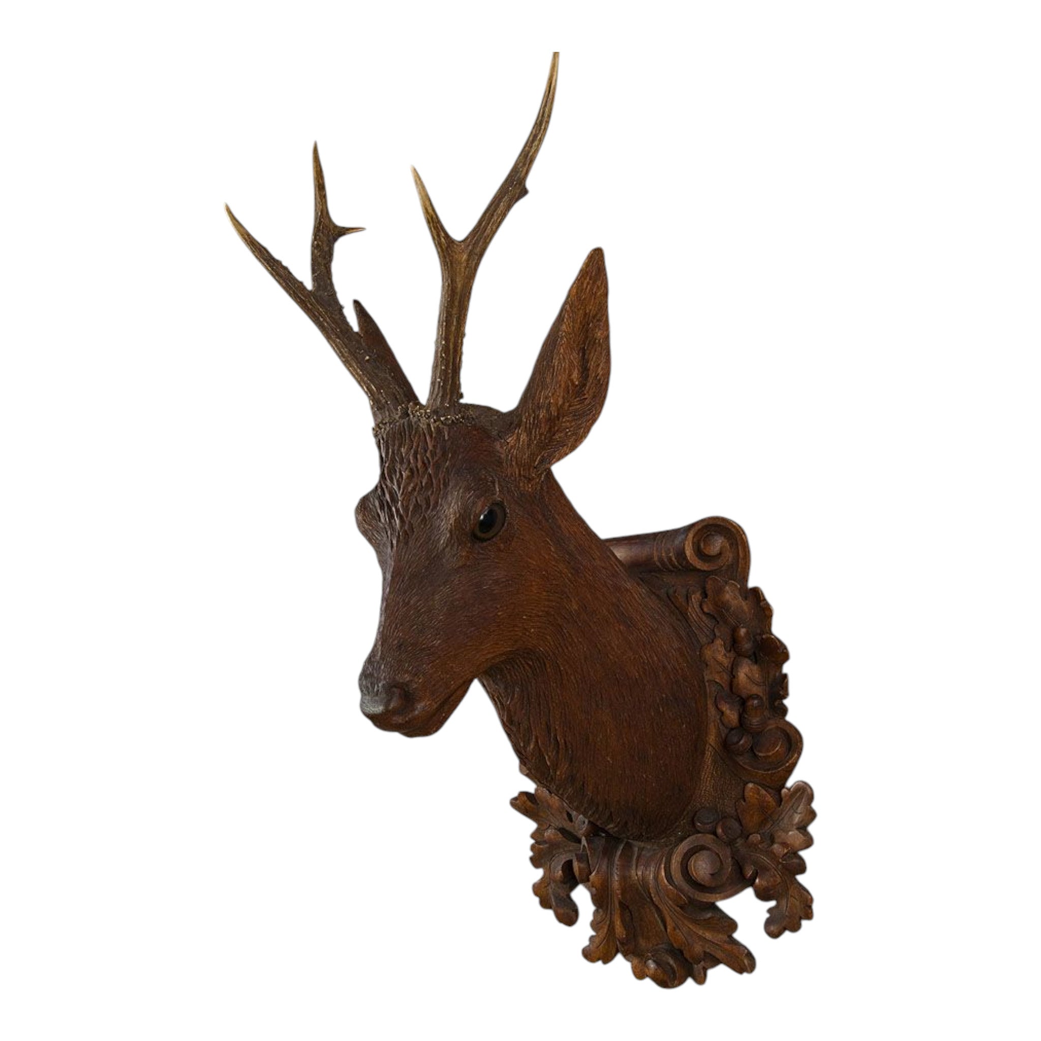 Antique Trophy Mount