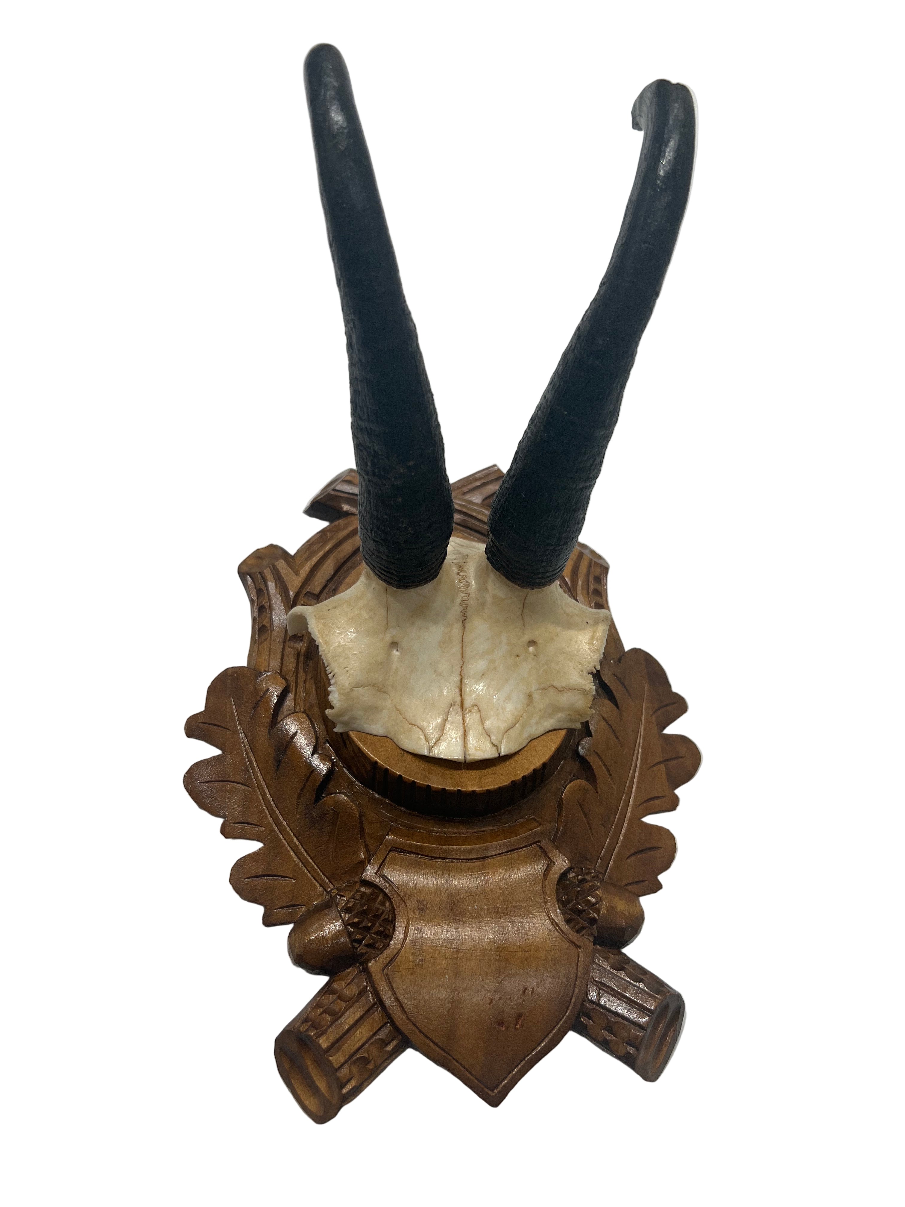 Vintage German Chamois Mount