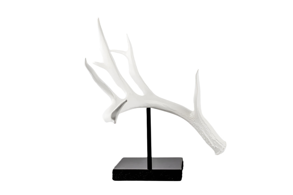 Replica of Whitetail Antler