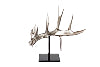 Replica of Whitetail Antler Stainless Steel