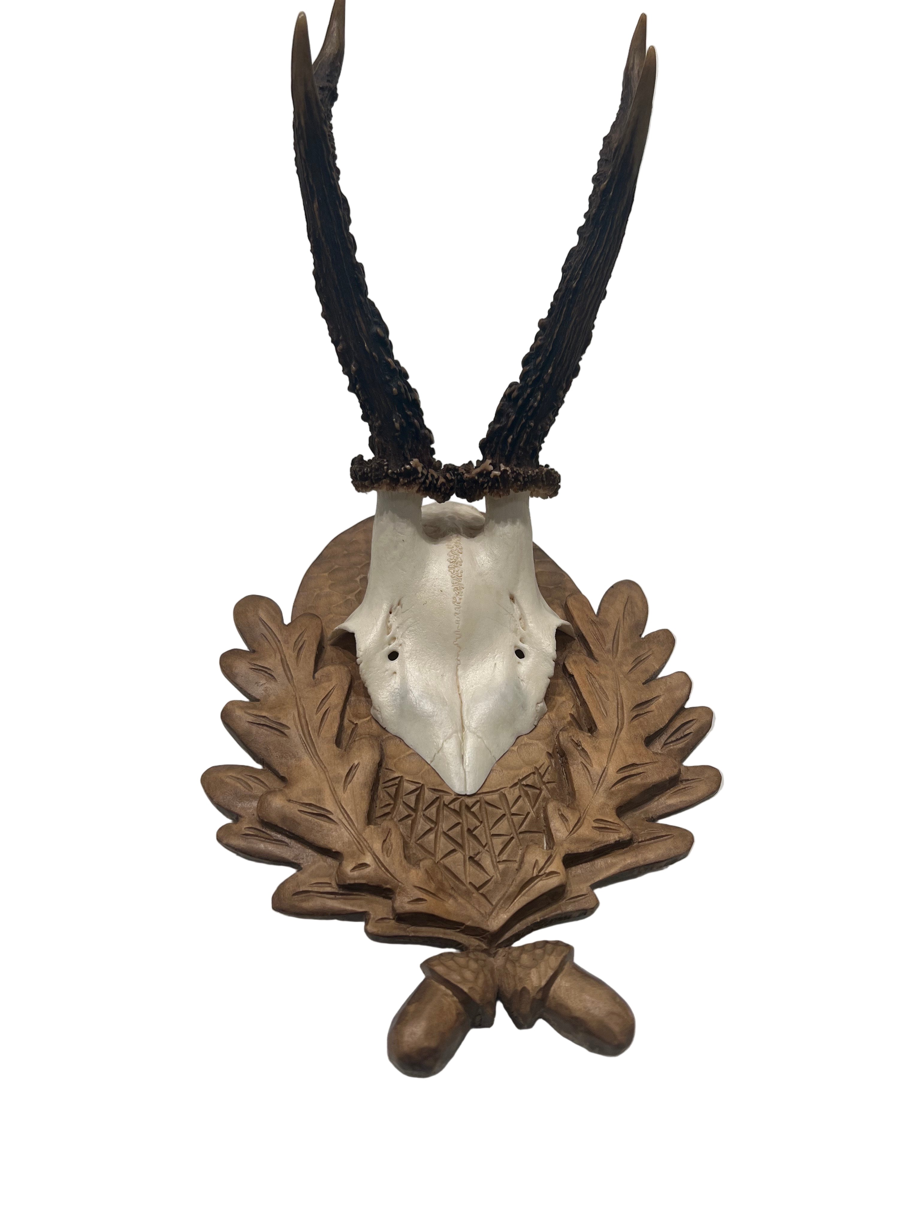 Vintage Pale Wood German Deer Antler Mount