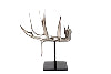 Replica of Whitetail Antler Stainless Steel
