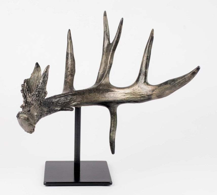 Replica of Whitetail Antler
