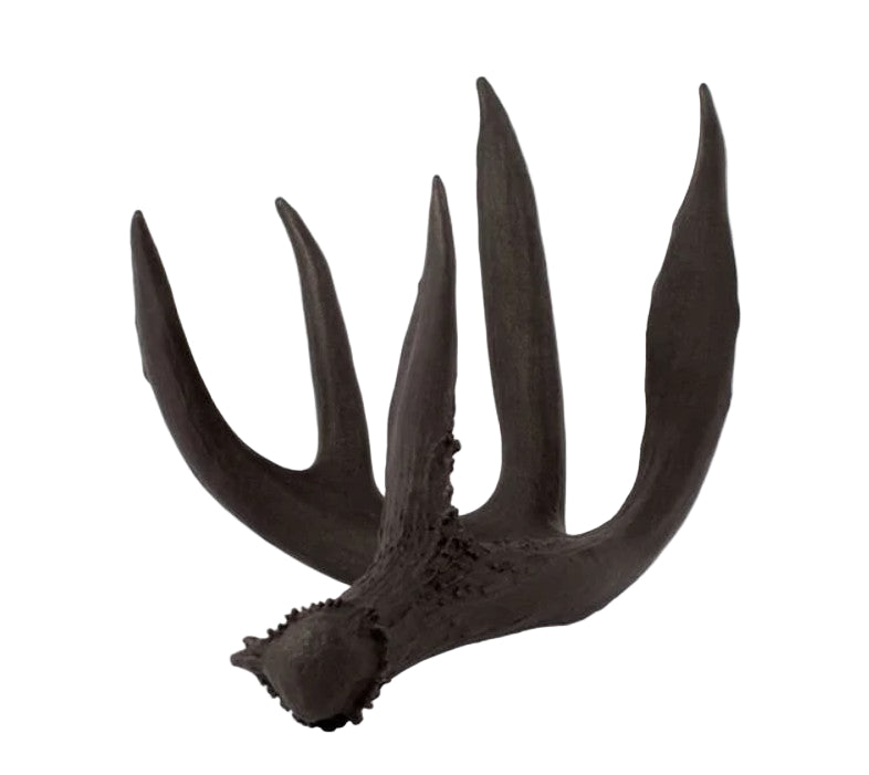 Black deer antler on a white background