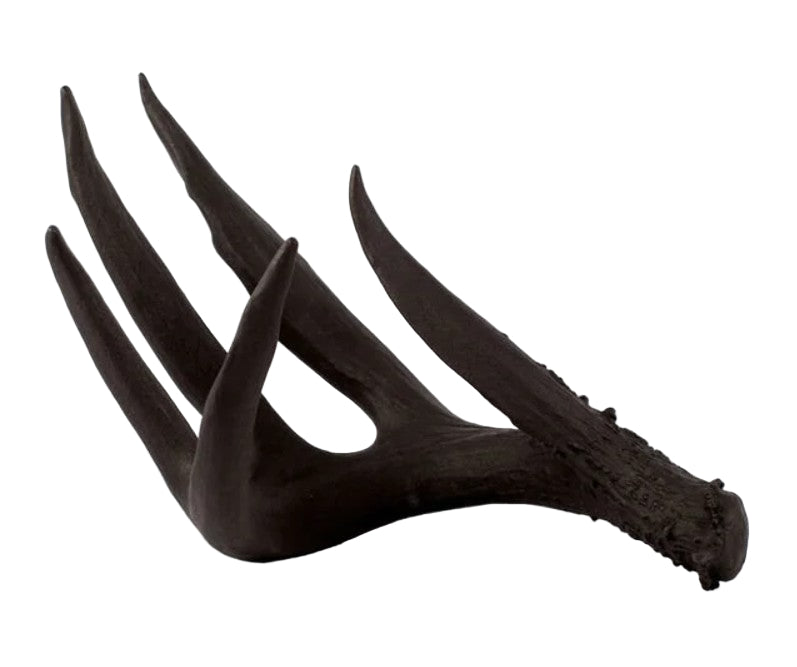 Black deer antler on a white background