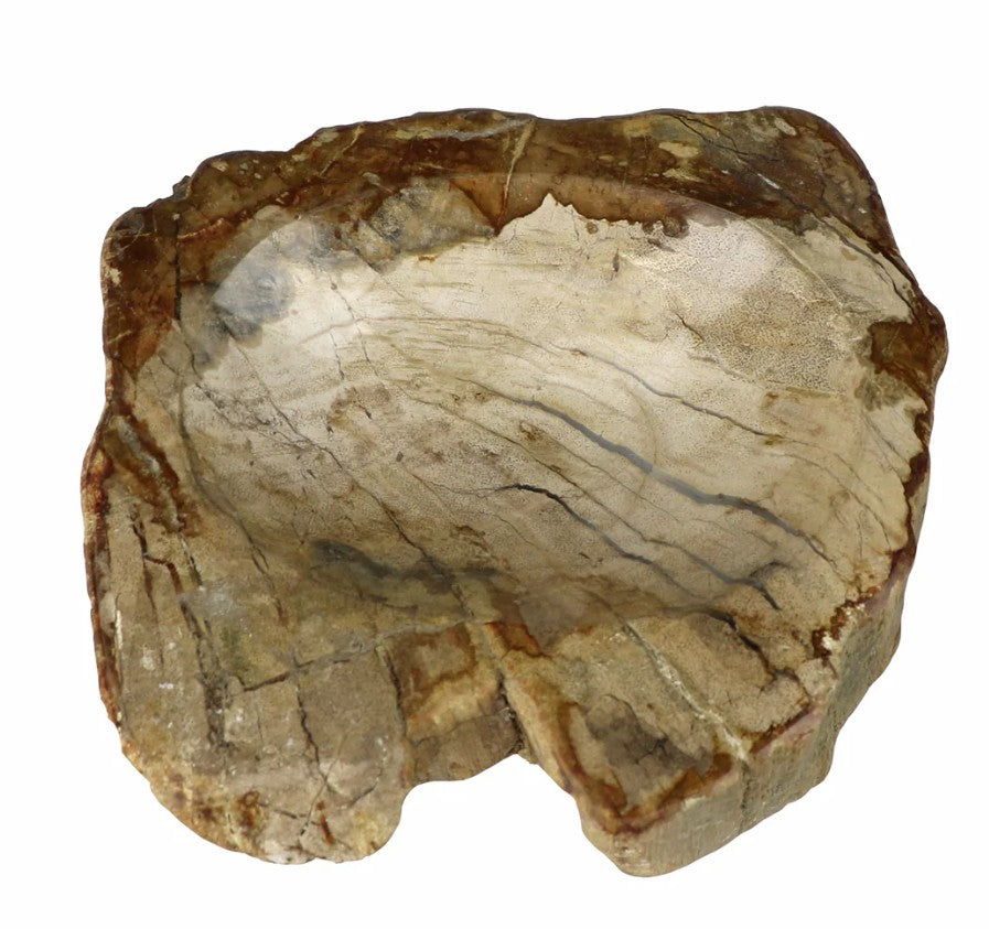 Petrified Wood Dish