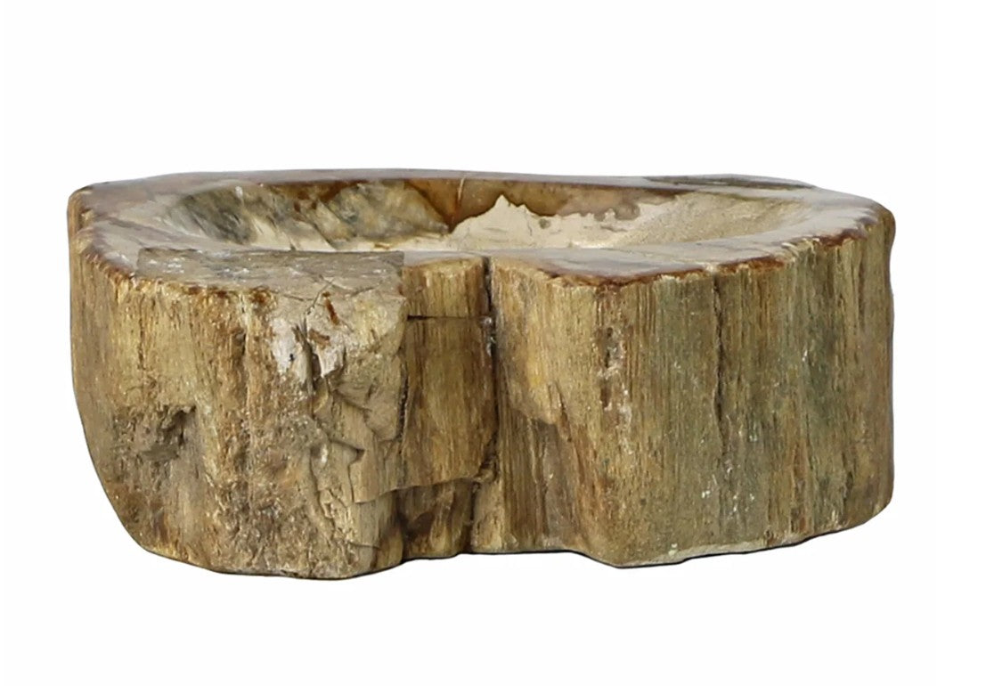 Petrified Wood Dish