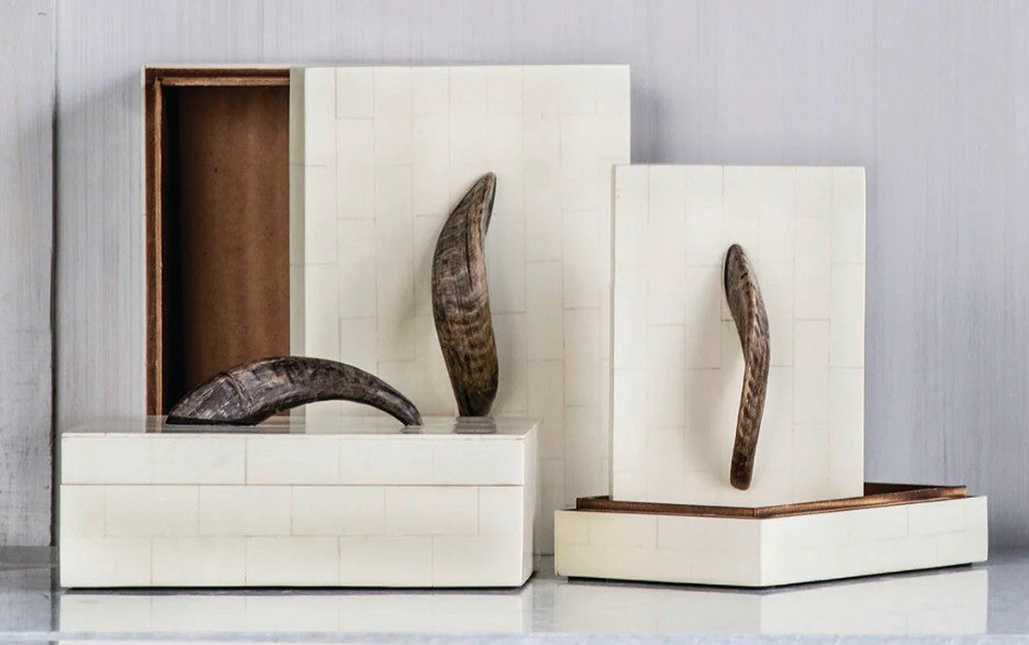 Asili Bone Box with Horn