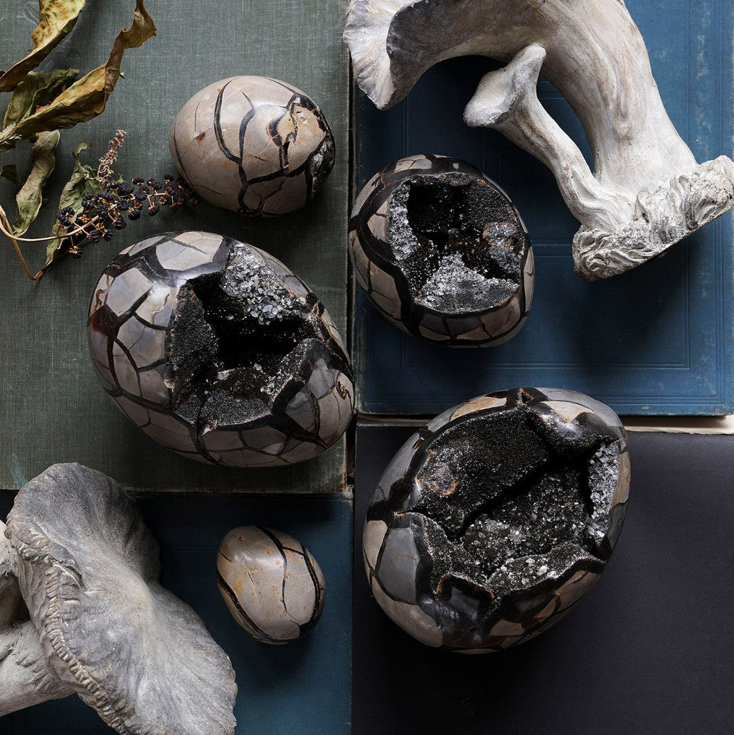 Septarian Dragon Egg