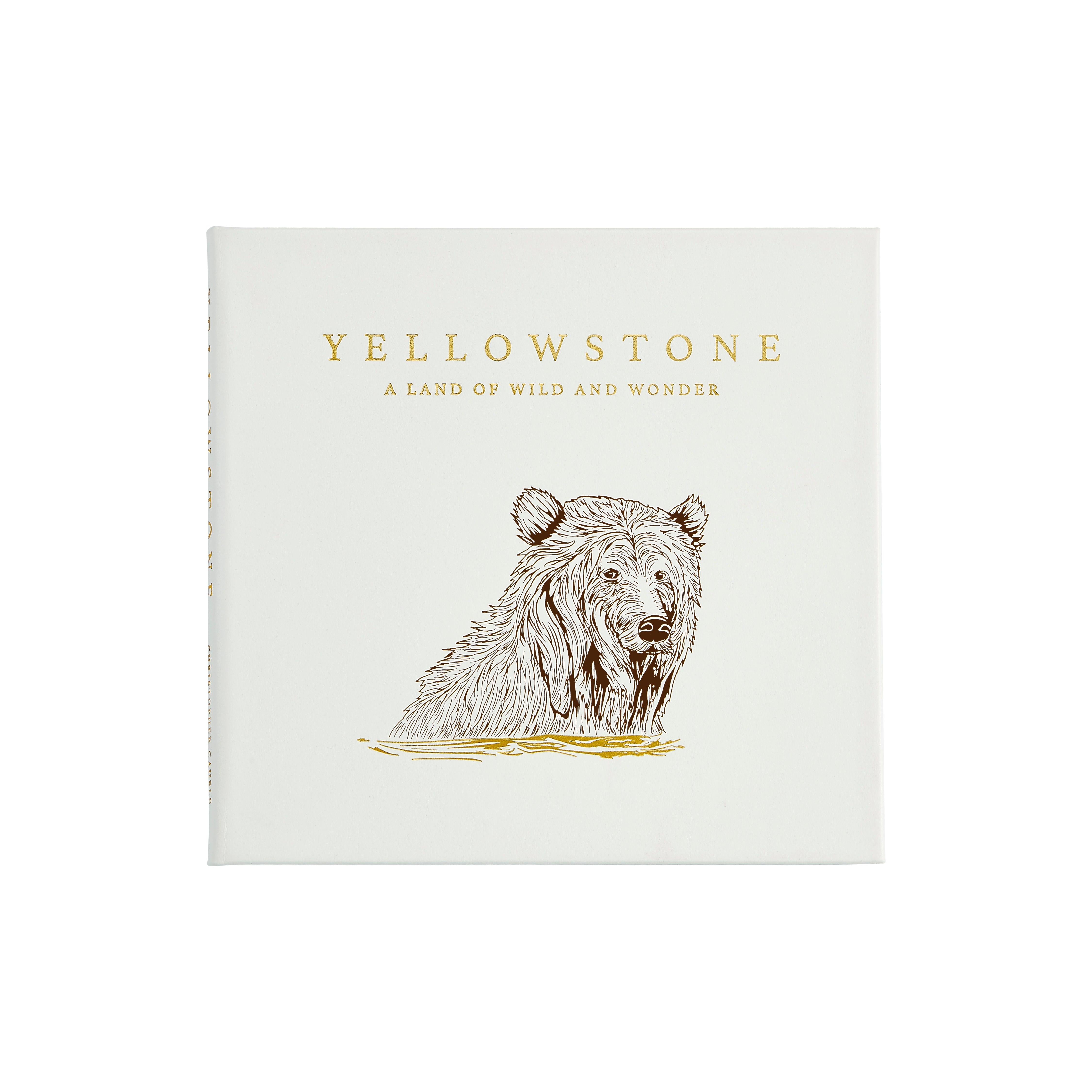 Yellowstone A Land of Wild and Wonder Book