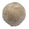 Shearling Puff Ball Pillow
