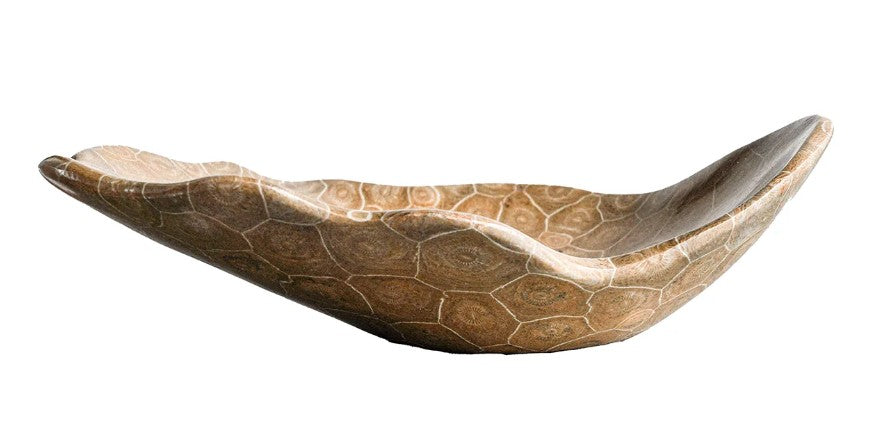 Coral Fossil Bowl