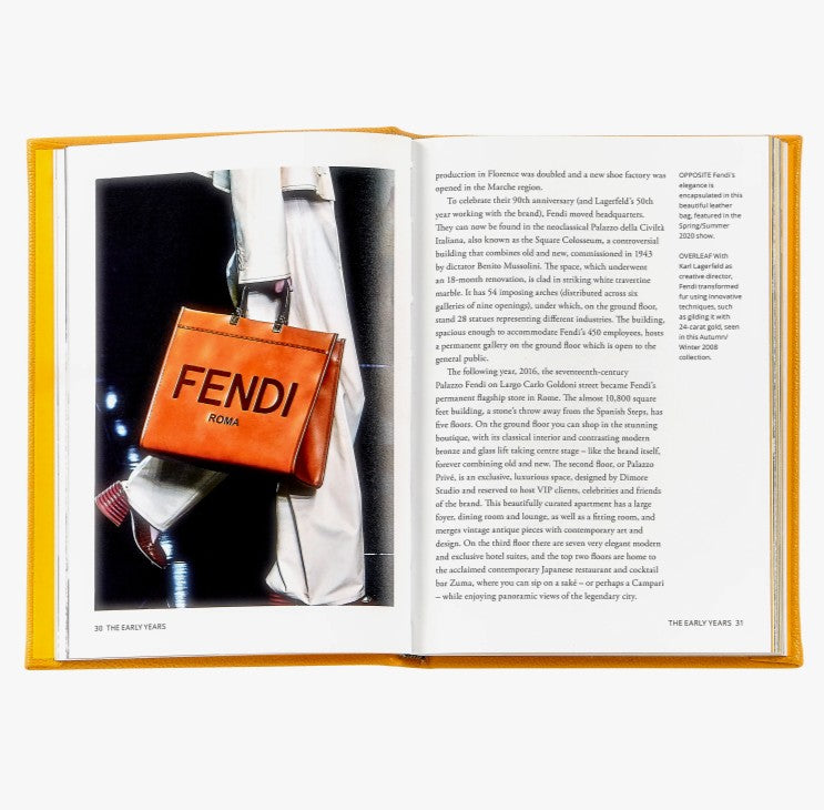 Little Book of Fendi Leather Book