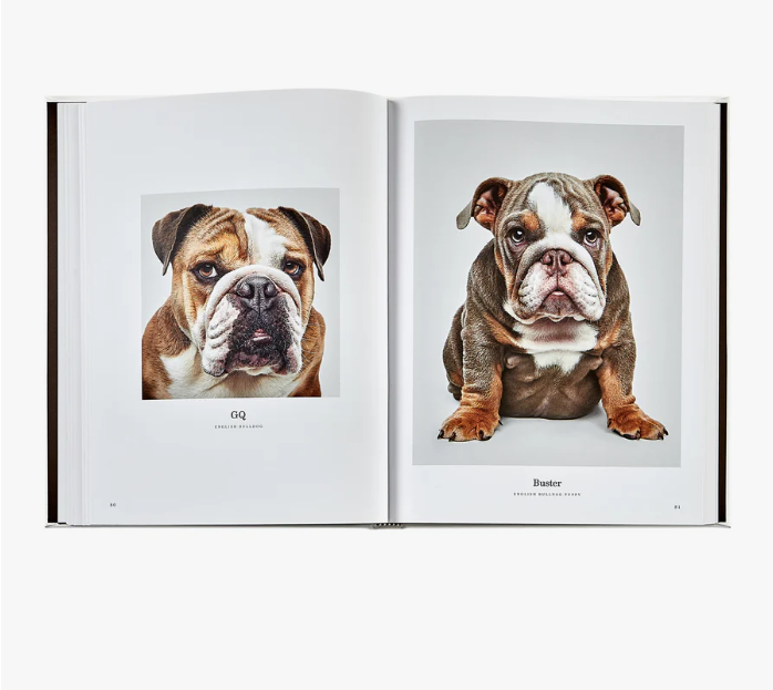 Good Dog Leather Book