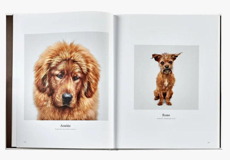 Good Dog Leather Book