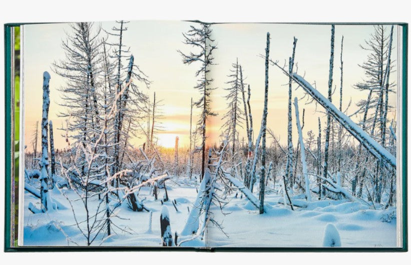 The Hidden Life of Trees Leather Edition Book