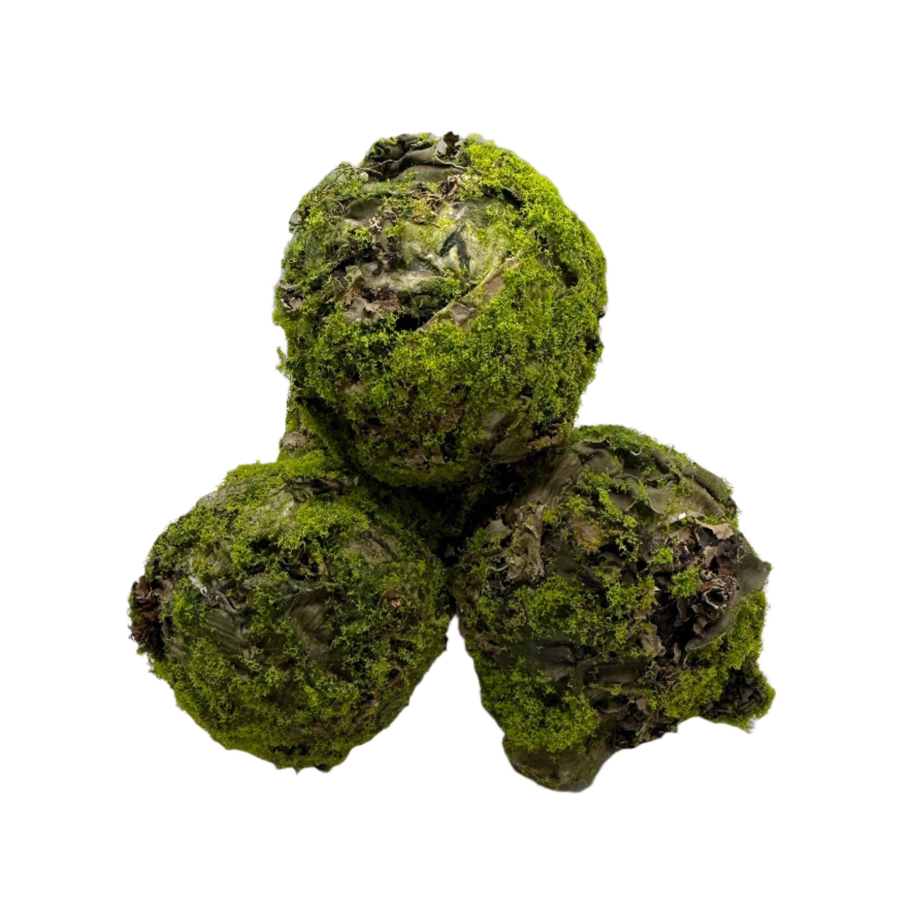 Mossy Lichen Orb