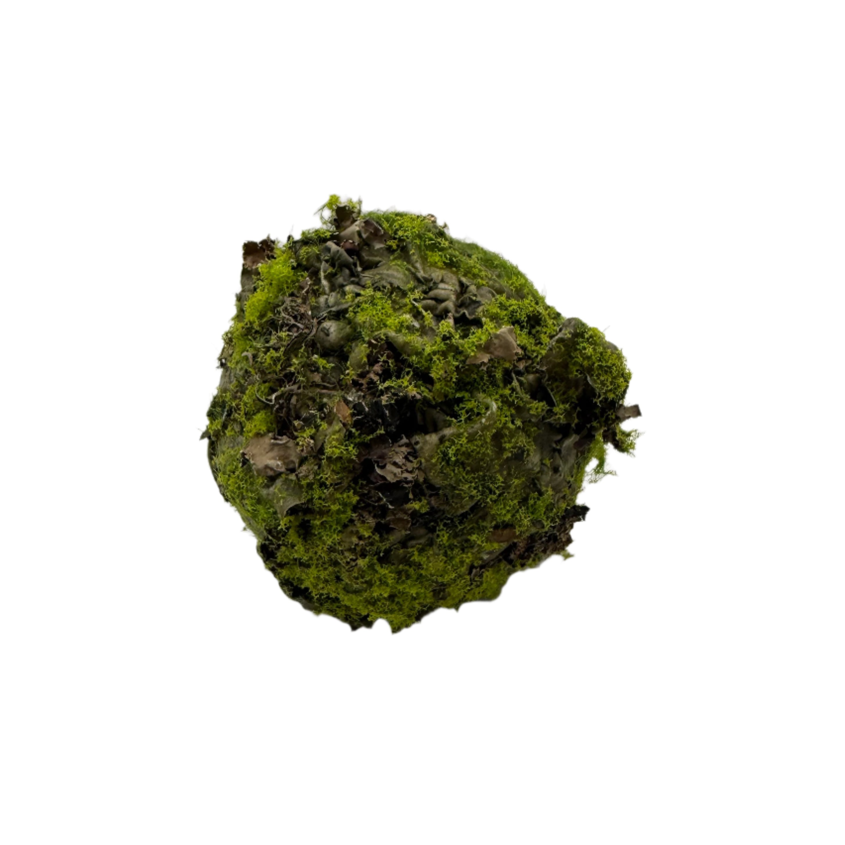 Mossy Lichen Orb