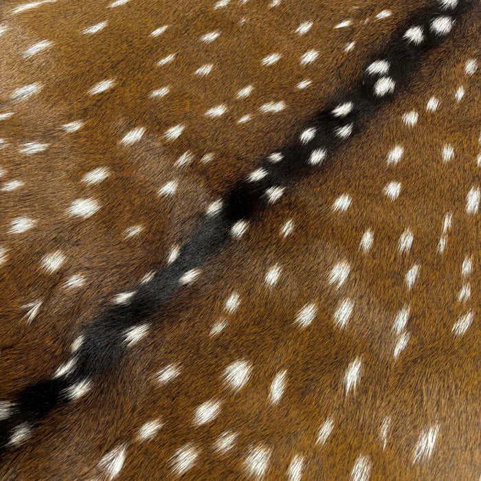 Axis Deer Hide