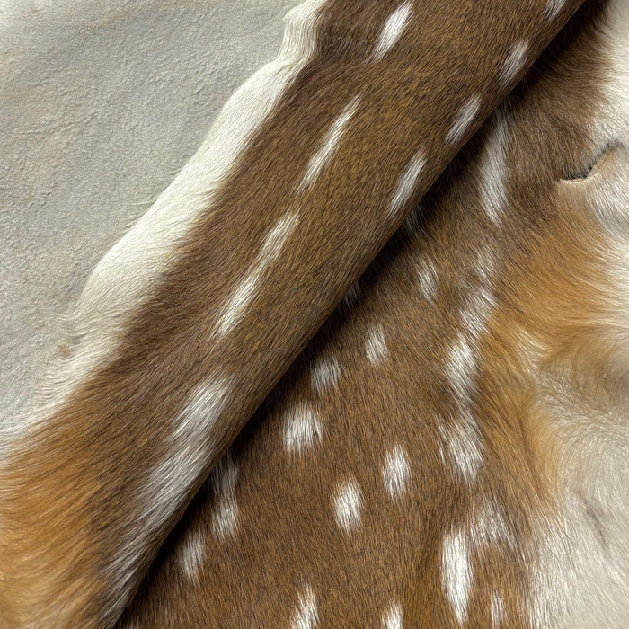 Axis Deer Hide