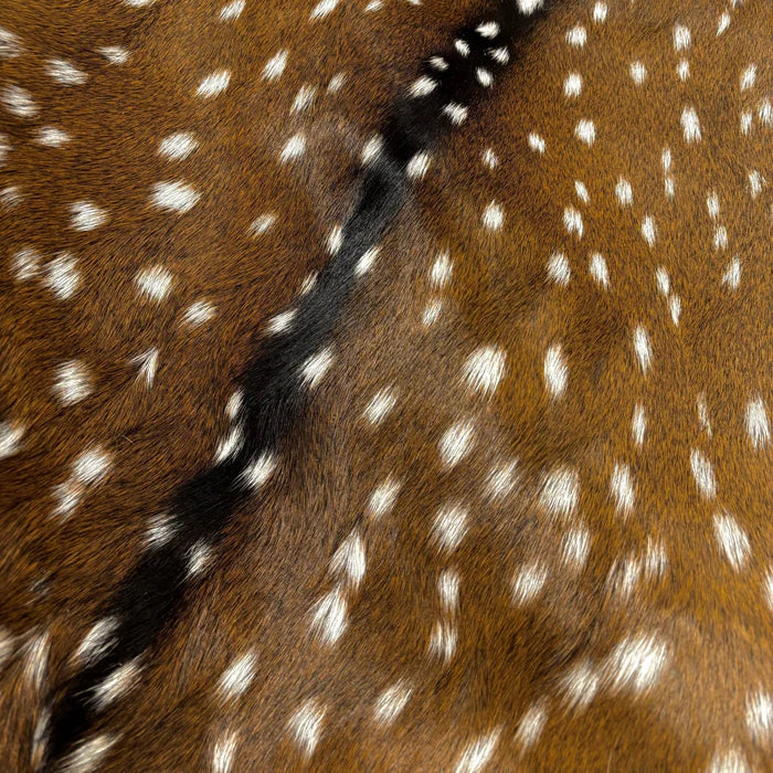 Axis Deer Hide