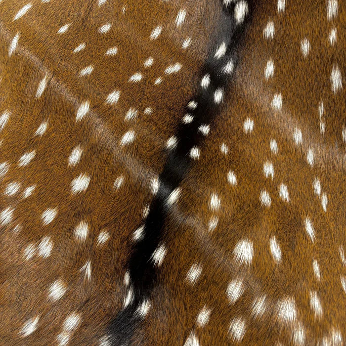 Axis Deer Hide