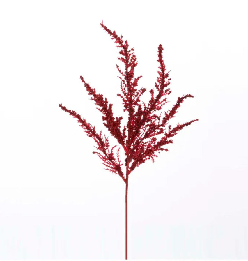 Red Feather Fern Spray