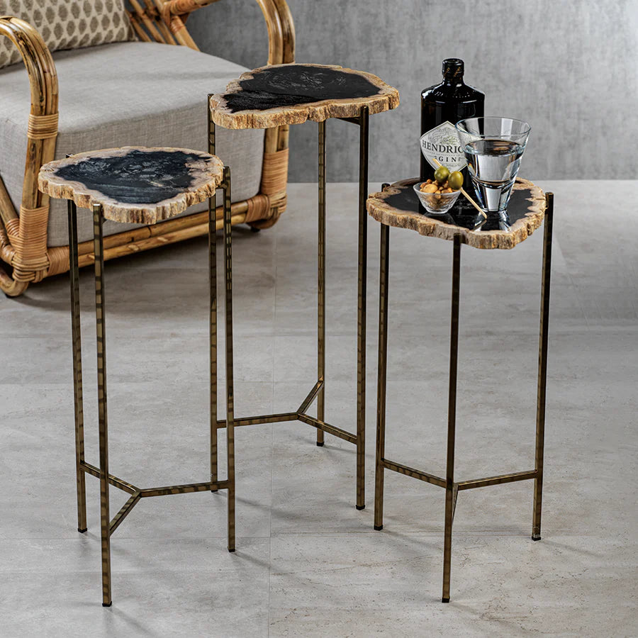 Porto Alegre Petrified Wood Side Table