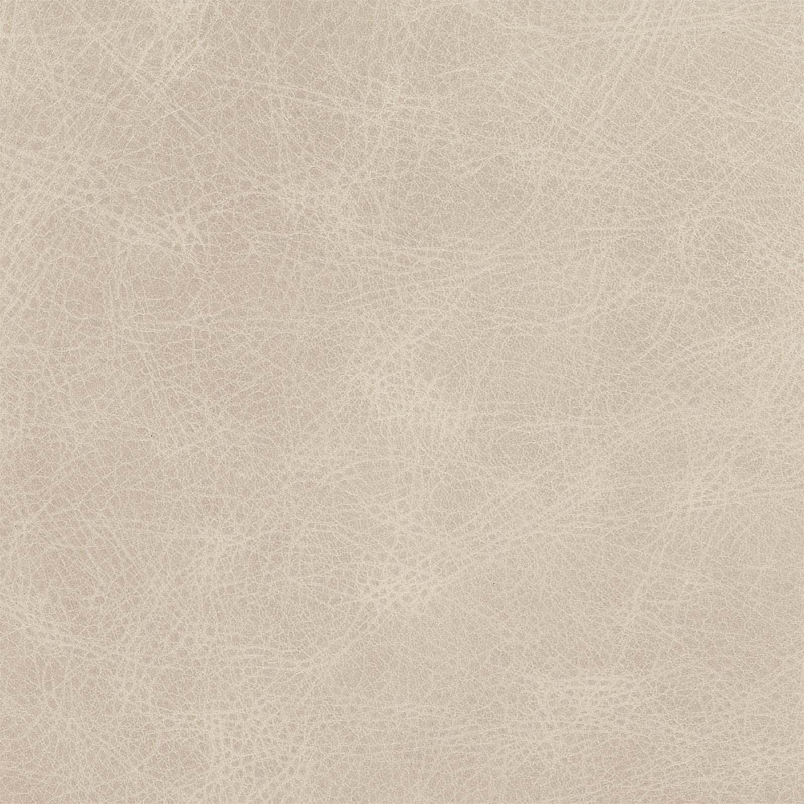 Aspen Leather and Boucle Faux Wool Bench in Cappucino