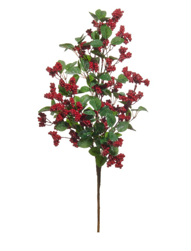 Large Iced Berry Spray