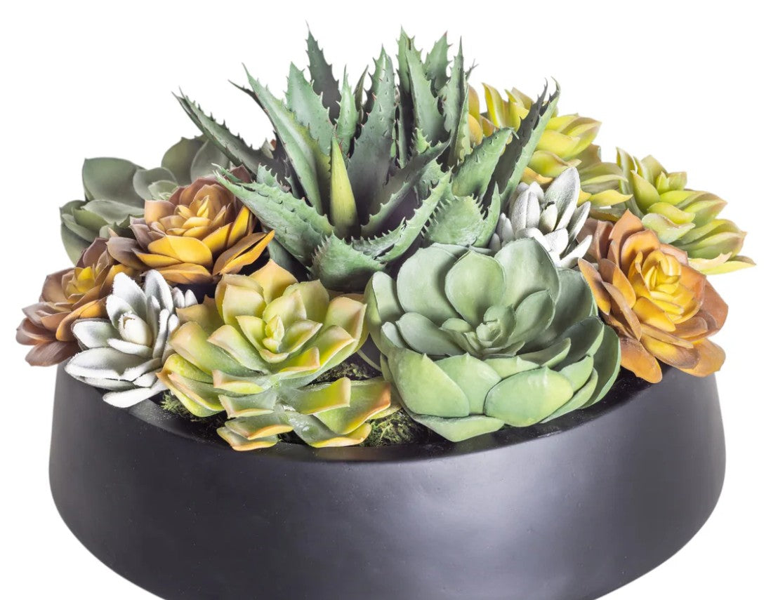 Low Mixed Faux Succulent Arrangement in Black Edison Bowl