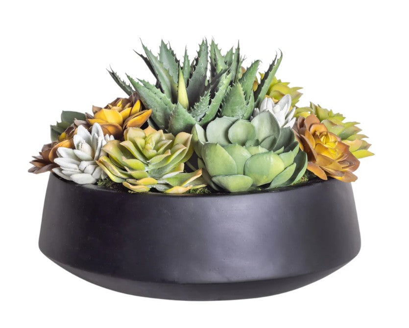 Low Mixed Faux Succulent Arrangement in Black Edison Bowl
