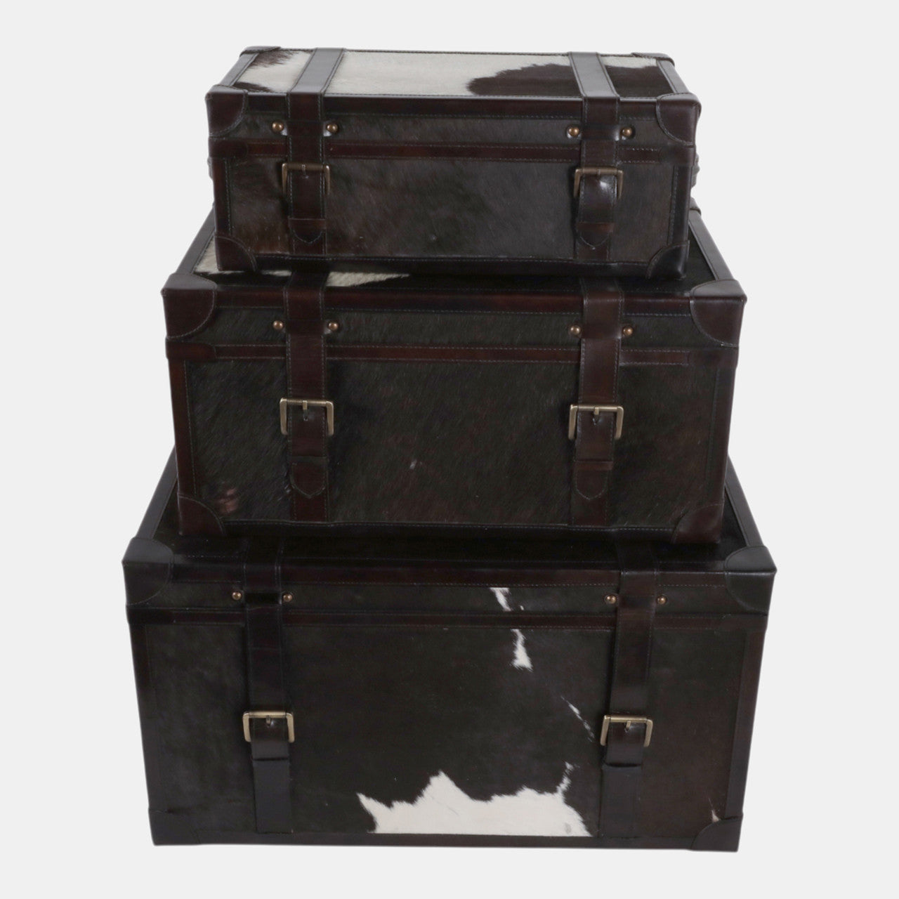 Hair On Hide Cow Print Trunk