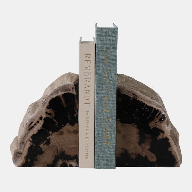 Petrified Wood Bookends