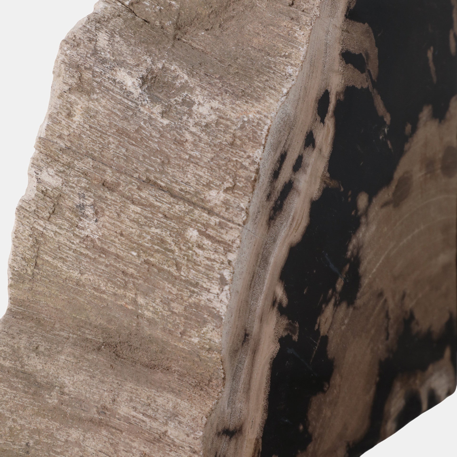 Petrified Wood Bookends