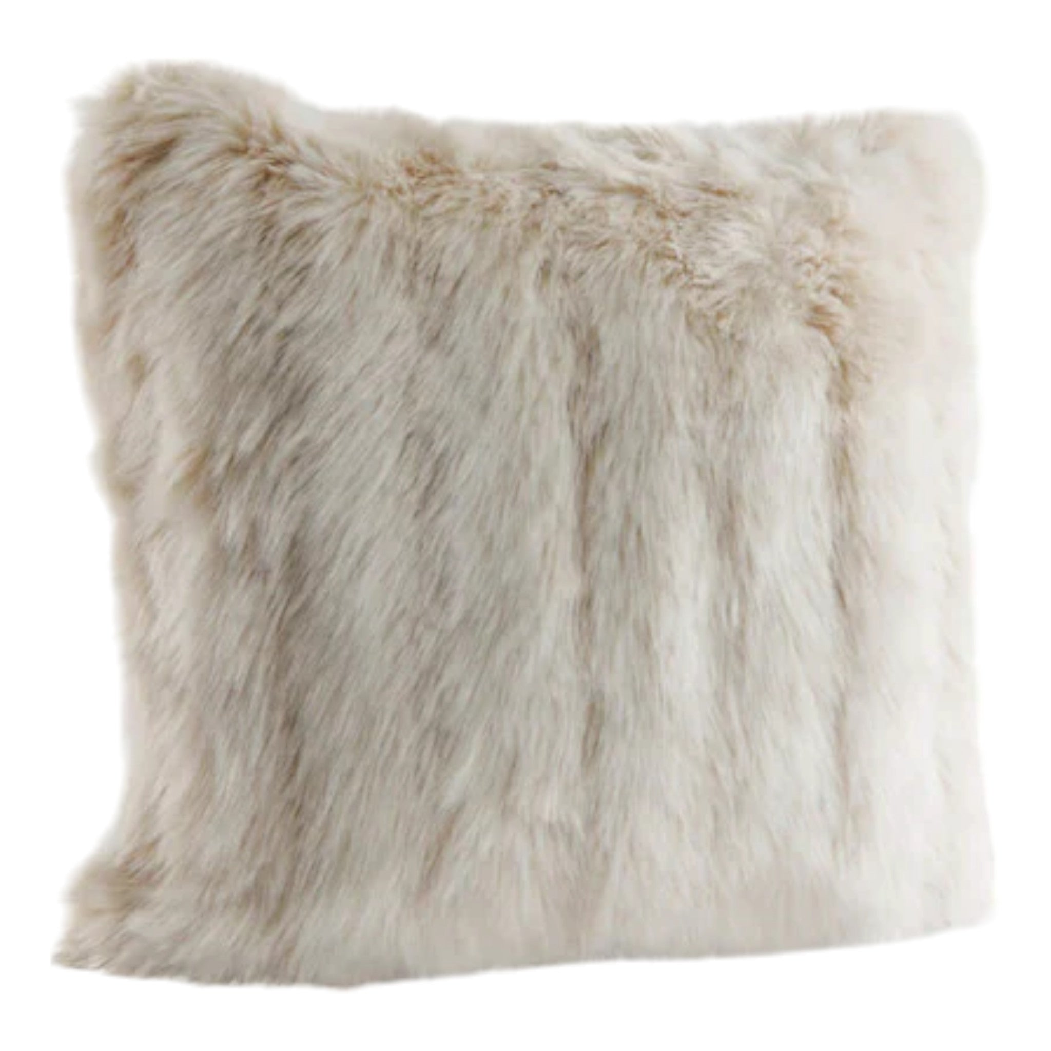 Limited Edition Pillow

Cape Fox 18" x 18"