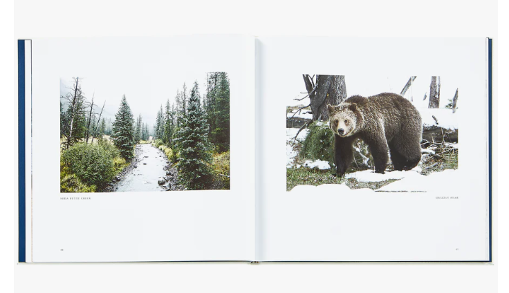 Yellowstone A Land of Wild and Wonder Book