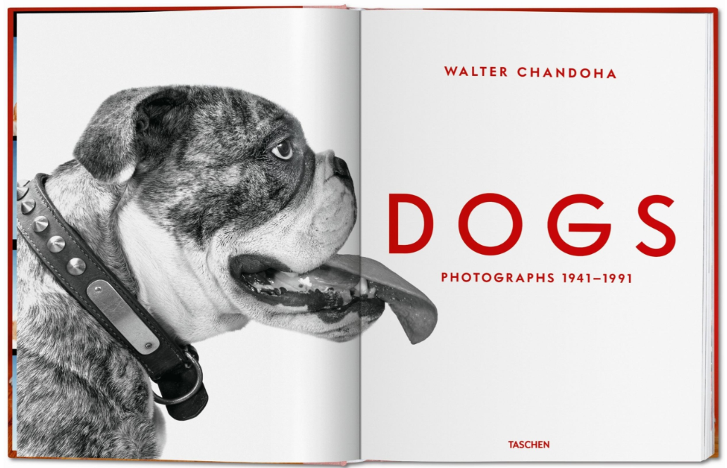 Walter Chandoha. Dogs. Photographs book