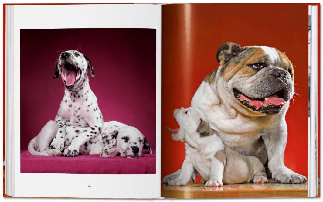 Walter Chandoha. Dogs. Photographs book