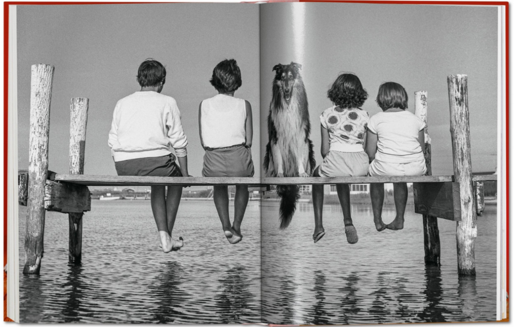 Walter Chandoha. Dogs. Photographs book