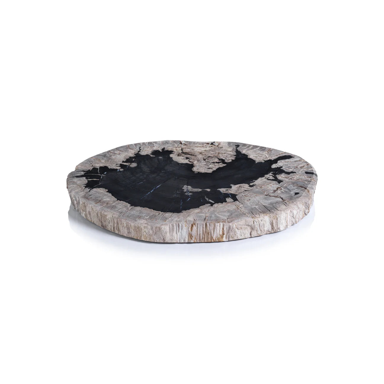Organic Shape Petrified Wood Cheese Board