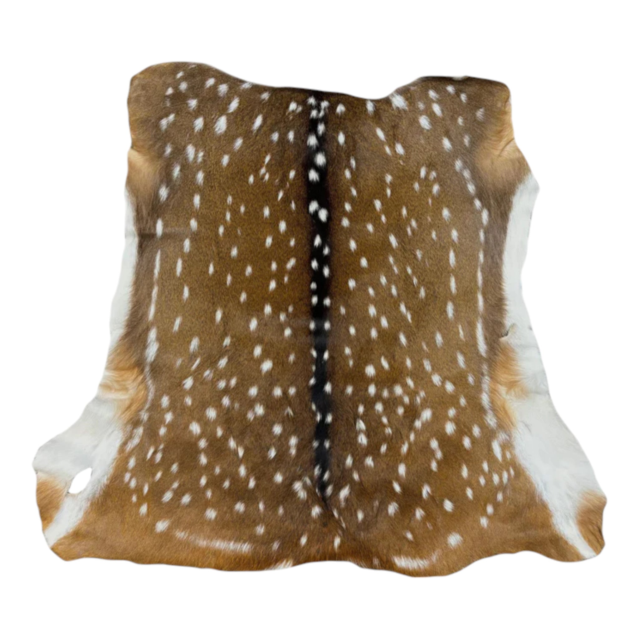 Axis Deer Hide