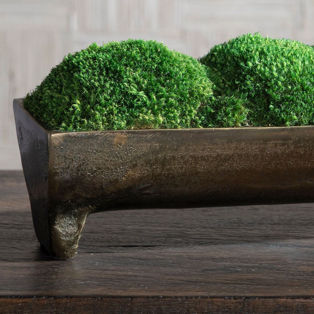 Canal Moss Centerpiece