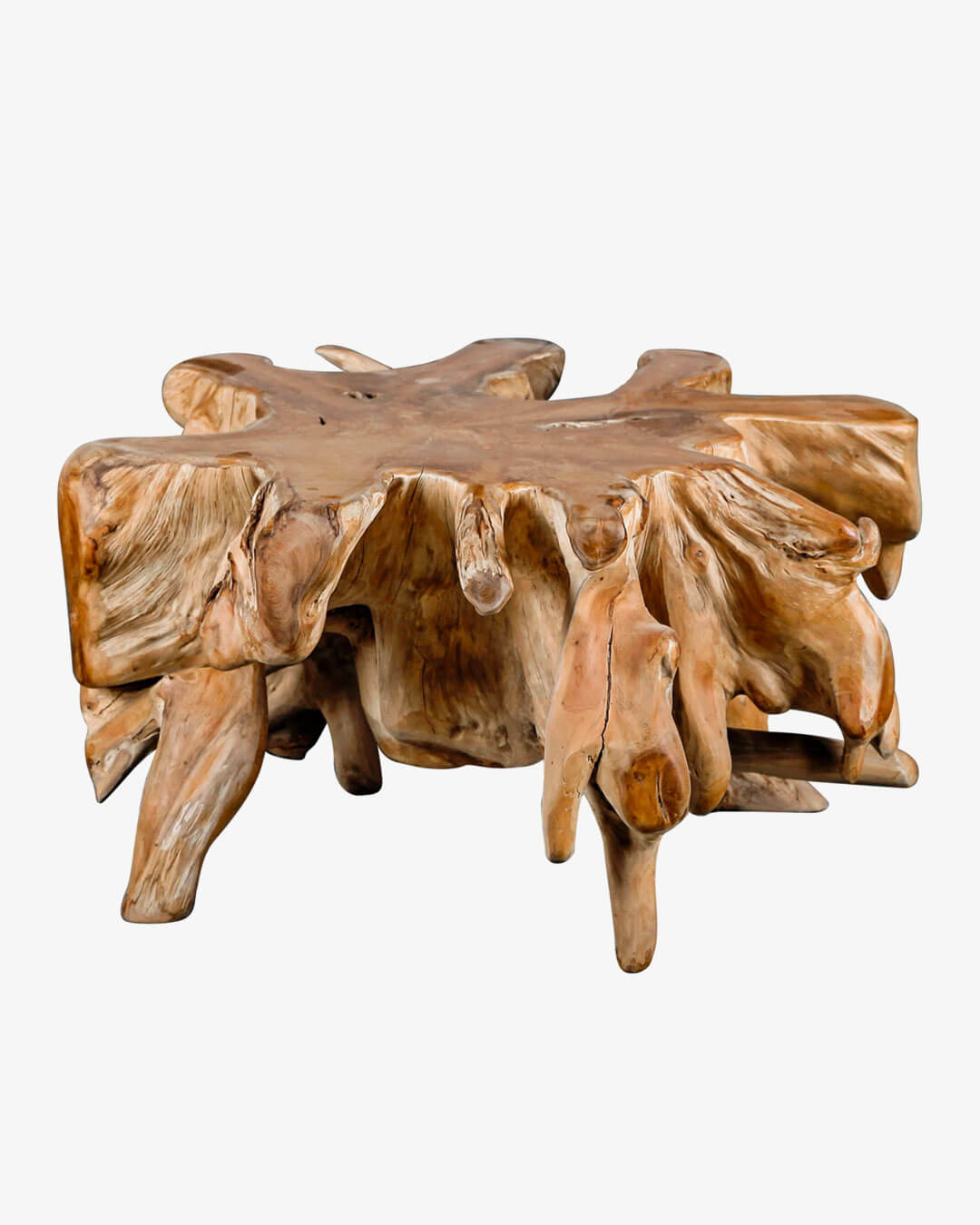 Center Root Coffee Table